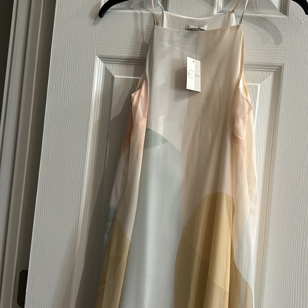 Sheer maxi dress-new